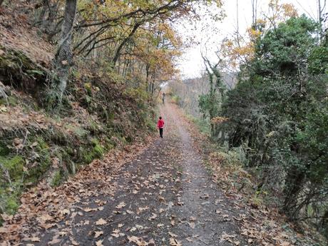 Rutas por el Bierzo: El Castañar de Manzanedo de Valdueza
