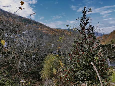 Rutas por el Bierzo: El Castañar de Manzanedo de Valdueza