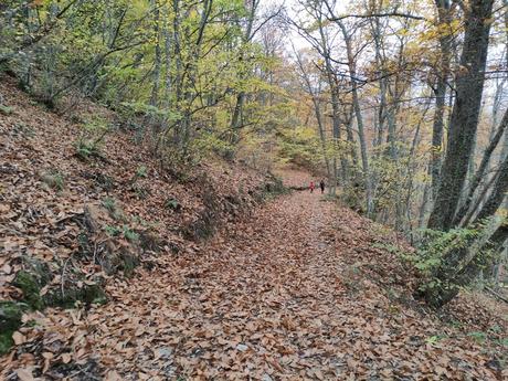 Rutas por el Bierzo: El Castañar de Manzanedo de Valdueza