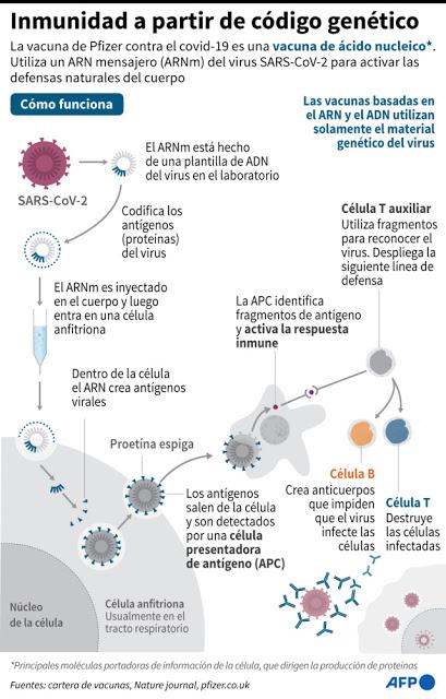 infografia-inmunidad-coronavirus-TuParadaDigital