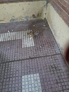 EL COVID AVANZA POR TORREJÓN, HERIDOS DE ARMA BLANCA Y DE BALA, DENUNCIAS CONSEGUIDAS Y SOMOS CAMPEONES EN CONTAMINACIÓN AMBIENTAL