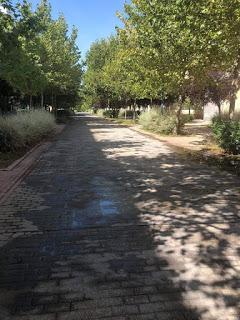 EL COVID AVANZA POR TORREJÓN, HERIDOS DE ARMA BLANCA Y DE BALA, DENUNCIAS CONSEGUIDAS Y SOMOS CAMPEONES EN CONTAMINACIÓN AMBIENTAL