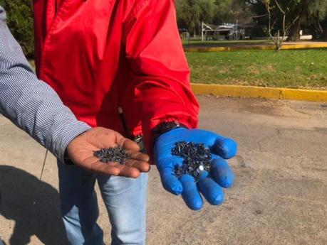 Encuentran tachuelas regadas en el Parque Tangamanga