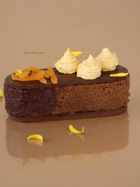 Individual Sacher de Vanguardia Individual Sacher de Vanguardia