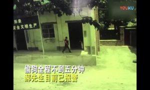 中场球员本田圭佑(中)为日本绝平比数|亚博APP 中场球员本田圭佑(中)为日本绝平比数|亚博APP