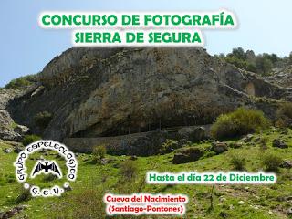 Concurso Fotografía
