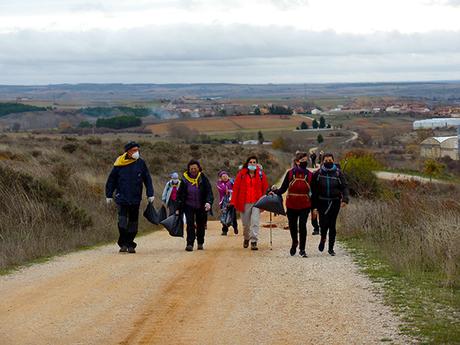 Limpieza del Camino, 2020 Limpieza del Camino, 2020
