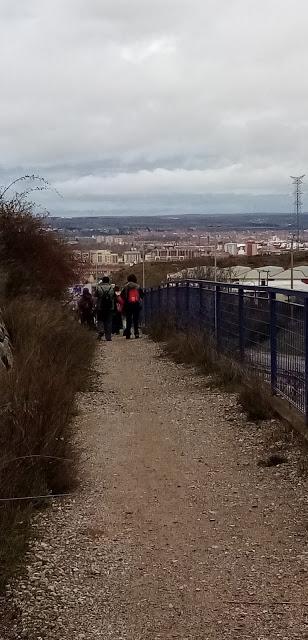 Limpieza del Camino, 2020 Limpieza del Camino, 2020