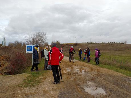 Limpieza del Camino, 2020 Limpieza del Camino, 2020