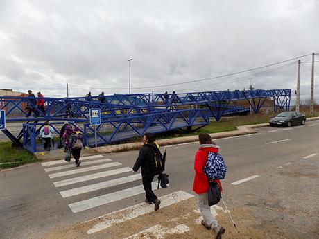 Limpieza del Camino, 2020 Limpieza del Camino, 2020