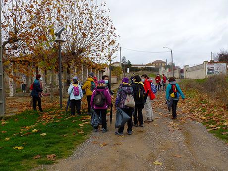 Limpieza del Camino, 2020 Limpieza del Camino, 2020