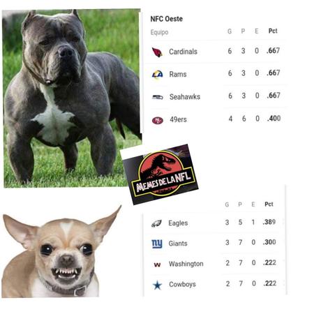 Los mejores memes NFL de la semana 10 – Temporada 2020