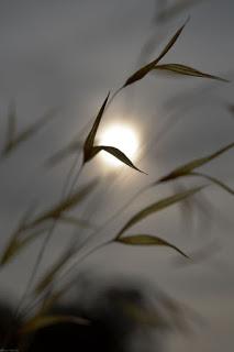 4.368 - AHORA QUE NADIE NOS VE...