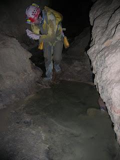 Nueva especie de isópodo en cueva de Antequera (Málaga) Nueva especie de isópodo en cueva de Antequera (Málaga)