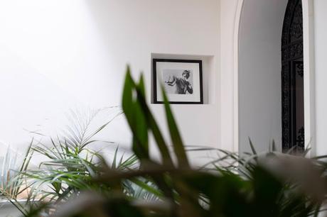 Siboney nos habla de Deliciosa Marta