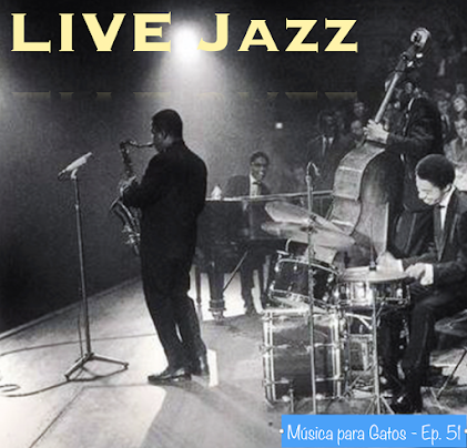 Música para Gatos - Ep. 51 - Nada mejor que el jazz en directo.