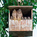 Felicidad gana a mediocridad El humor y productividad