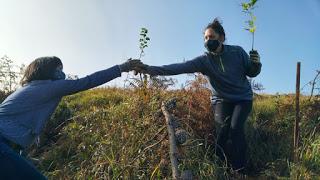 RECUPERACIÓN DE BOSQUES CANTÁBRICOS