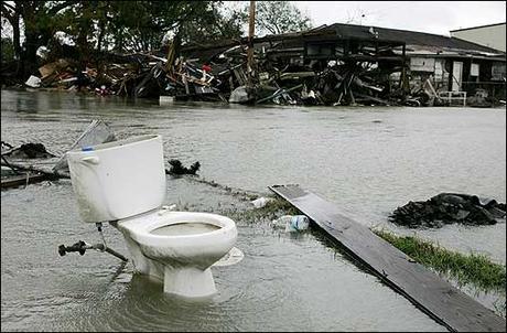 Hoy es el Día Mundial del Retrete: ¿Por qué es importante?