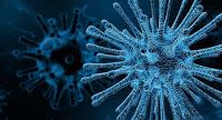 Los Virus Evolucionan como resultado de las Respuestas Inmunitarias
