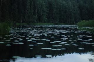 Reseña: Verity. La sombra de un engaño de Colleen Hoover