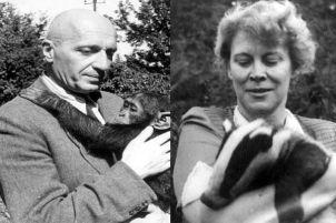 b2e4b49411a8b03f4afe9458036fd77d