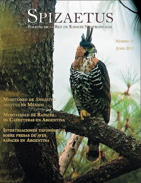 Mortalidad de rapaces... Spizaetus (11): 6 - 16. Colombia