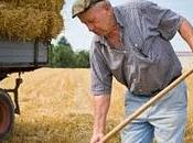 Senado aprobó nuevo régimen previsional para trabajadores rurales