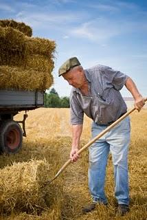 El Senado aprobó un nuevo régimen previsional para los trabajadores rurales