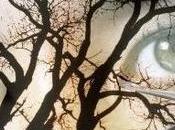 APASIONARSE SUPONE ARRIESGARSE. Wayne Dyer.