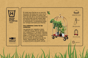 Hotel para Plantas Hotel para Plantas