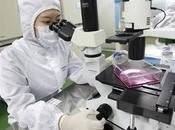 Fallo favor células madres