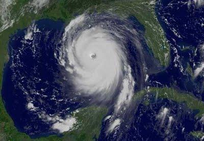 La sucesión de Fibonacci en la naturaleza