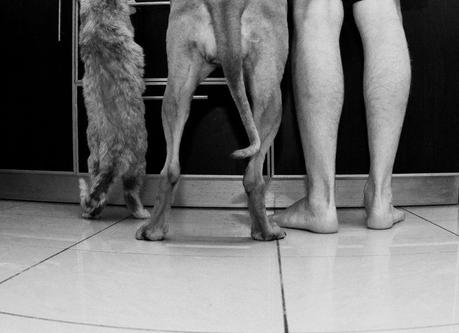 El acertijo de Lunes – Solución!