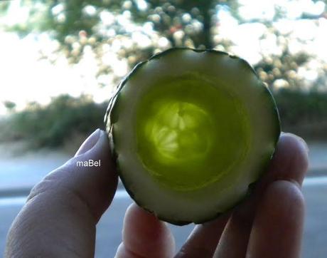 Gazpacho en pepino y flores