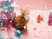 Sorteo especial para bloggers