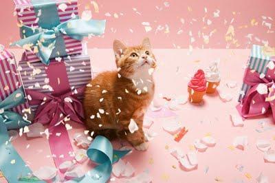 Sorteo especial para bloggers