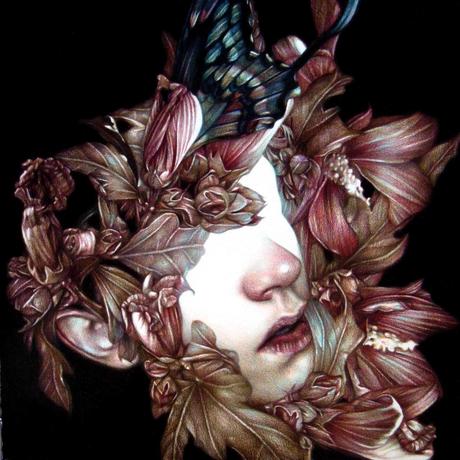 Marco Mazzoni – Dibujos