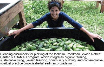 La Mitzvá que salvaría el planeta: por qué los judíos deberían considerar al vegetarianismo (Daniel Brook, julio 2009)