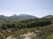 Bosque Bañizuela Piélago