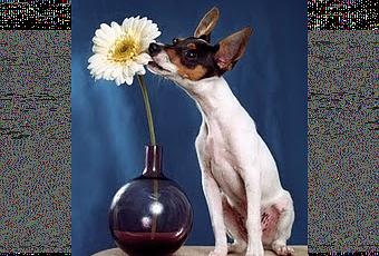 Emily Rieman - Paperblog