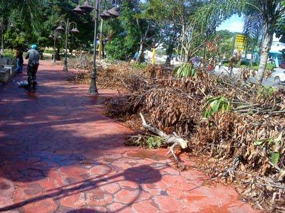 EL BOULEVAR DE LA ROMANA...