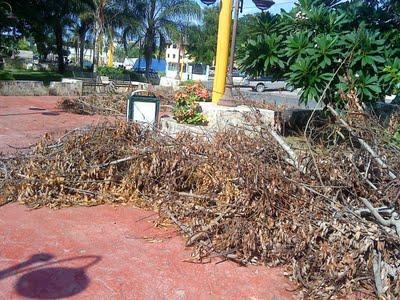 EL BOULEVAR DE LA ROMANA...