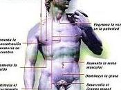testosterona disminuye edad