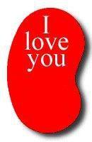 Para que sirven los riñones y como saber si hay daño renal Para que sirven los riñones y como saber si hay daño renal