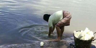 El latrocinio de la Amazonia: Hoy la Amazonia peruana