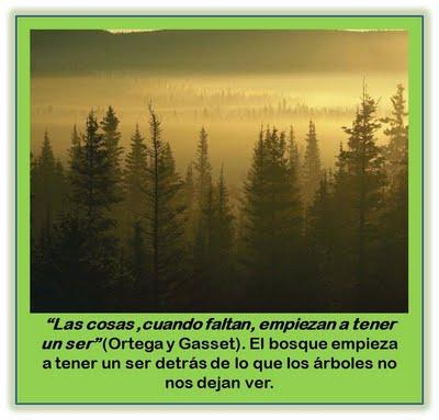 ESPAÑA, UNA NACIÓN QUE SE MUERE