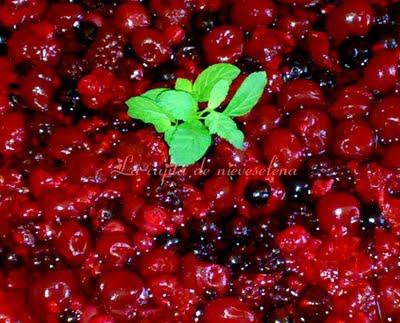 Tarta crema de orujo y frutas del bosque