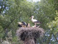 El perdón y la misericordia