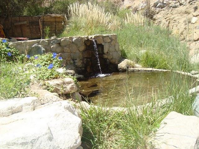 Cicatrices & Absoluto